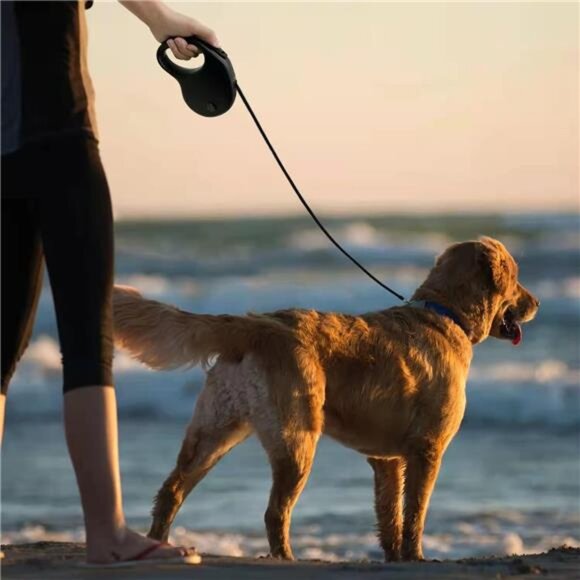 16Ft Retractable Dog Leash,Light Weight Leash for Small to Medium Dogs/Cats Up - Picture 7 of 8